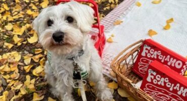 紅葉ピクニック🍂🐩