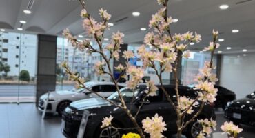 つらーーーい花粉に🤧